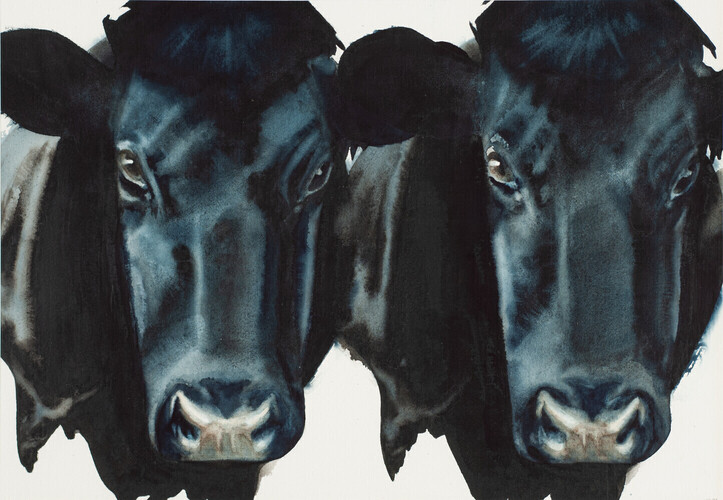 Deux vaches