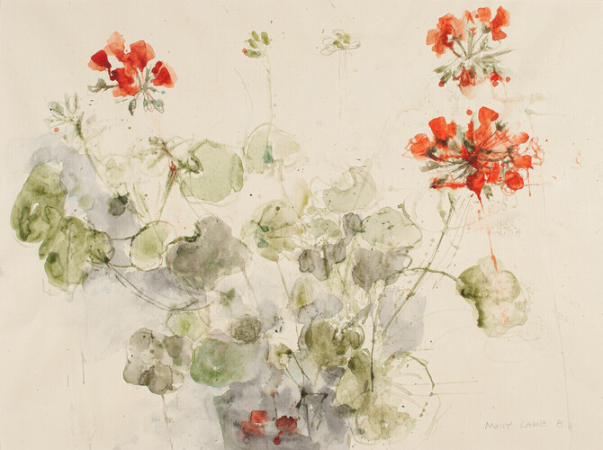 Geraniums