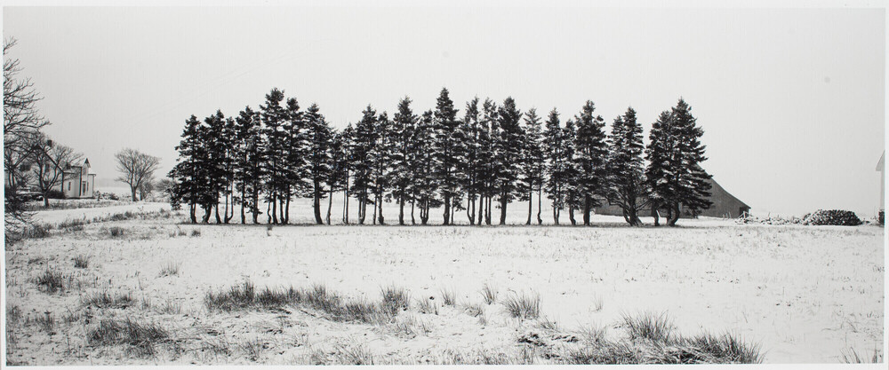 Mount Whatley, N.B. (February 1983)