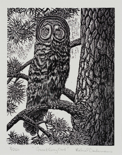 Great Grey Owl