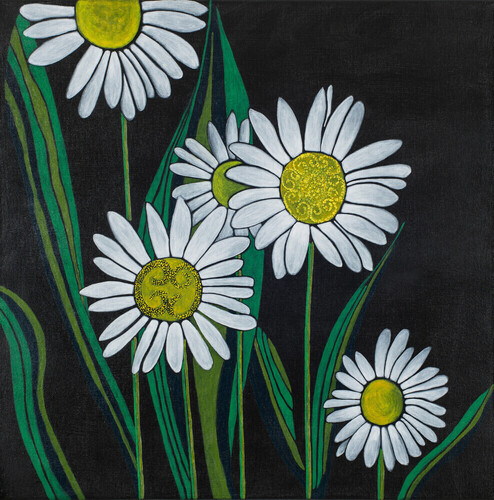 Marguerites (Daisies)