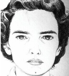 Small screenshot 13 11 2025 165920 mcadamsfh.com